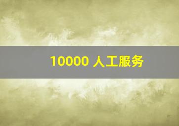 10000 人工服务